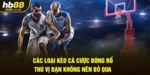 cac-loai-keo-ca-cuoc-bong-ro